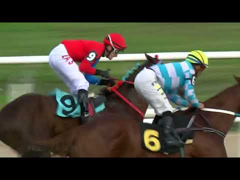 230331 c04 - ROSA NEGRA - HIPODROMO LAS PIEDRAS