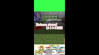 『Release stress{ストレス発散}』【Minecraft】