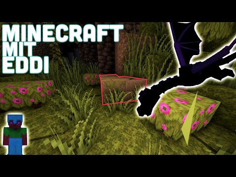 WIR legen den ENDERDRAGON endlich | S1E15
