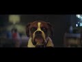 John Lewis Christmas Ad 2016 with Buster The Boxer Dog