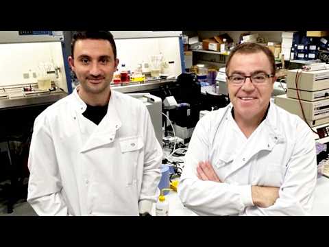 Cancer cells enter "zombie-like state" to evade chemotherapy, ...