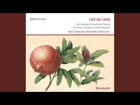 Quam pulchra es amica mea