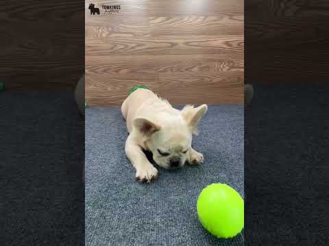 Video 1