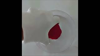 Rose Adult Toy for Females | Clit Sucker | 2024