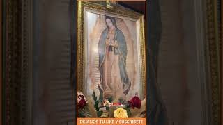 Oración de Intercesión de la Bienaventurada VMaría ep25