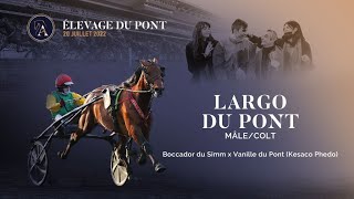 Video  de LARGO DU PONT #2