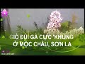 Hình ảnh Trong Clip