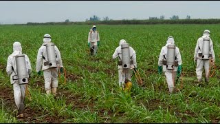 Are Big Ag's Chemicals Making Us All Sick? (w/ Guest: Dr. Stephanie Seneff)