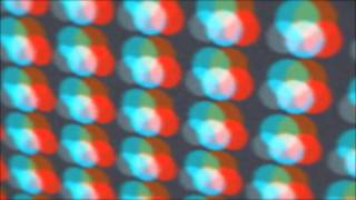 Clap Your Hands Say Yeah! - Upon this Tidal Wave of Young Blood (Spanish and English lyrics)