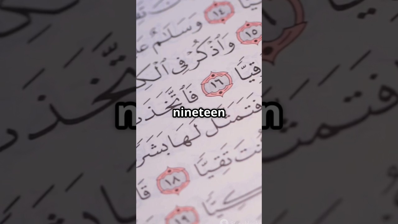 Did You Know the Quran Has a Hidden Mathematical Miracle? 🤯📖 #Quran #IslamicFacts #MiracleOf19