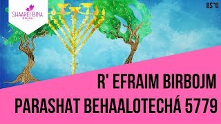 Parashá Behaalotechá