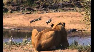 THE MIGRATION WITH NO BEGINNING AND NO END Trailer