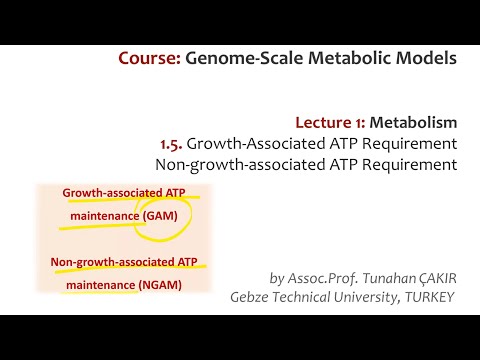 Lecture 1.5 - ATP Requirements | Genome Scale Metabolic Models