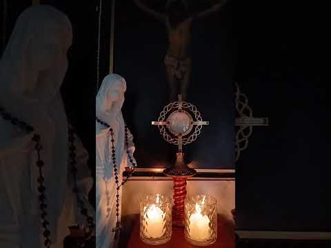 Adoracion Al Santisimo Sagramento del Altar con el Padre Fabian Esteban Oliva. 12/08/26