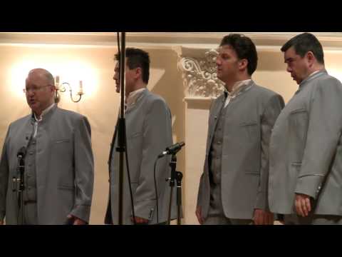 Klapa Jelsa - Sušna zikva na škoju