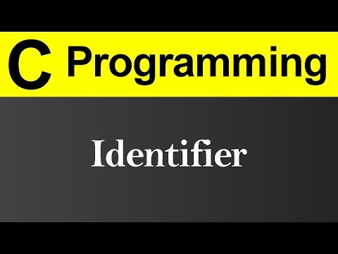 What is Programming Hindi