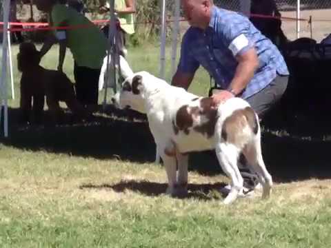 Butuz is The Best Male in junior class.Second Event (08.25.13.)