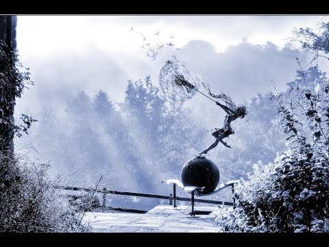 The Story of Dancing with Dandelions