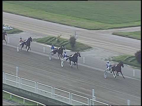 Trotto 11/06/2016 - 2° prova di qualifica