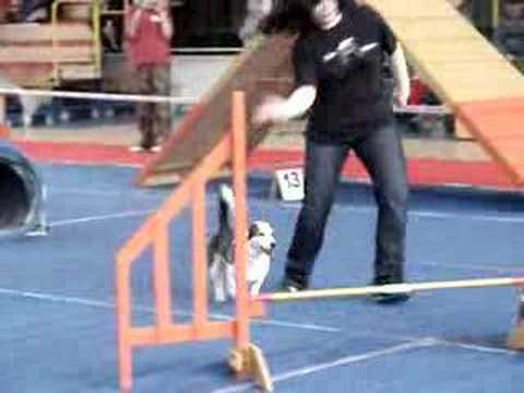 Aksa Agility