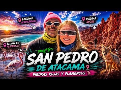 Viaje al Norte 🇨🇱 | San Pedro de Atacama | Pedrad Rojas | Flanencos | Lagunas Altiplanicas