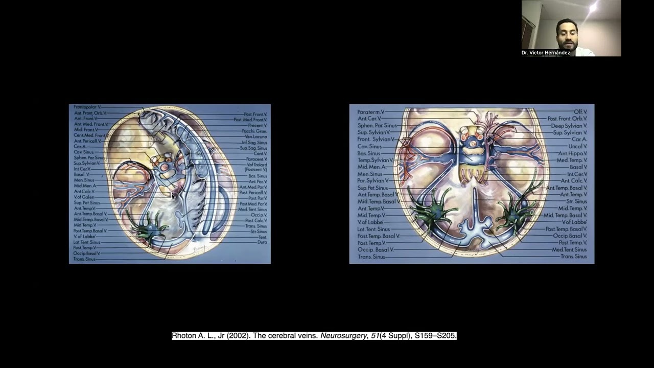 Victor Hernandez Alvarez-10