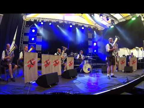 BlechXpress - Eine Gämse in den Bergen