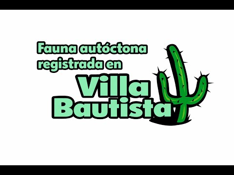 Fauna autóctona en Villa Bautista | Fauna del Uruguay