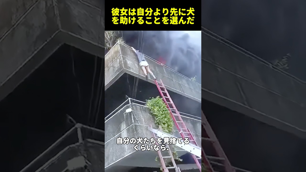 彼女は自分より先に犬を助けることを選んだ