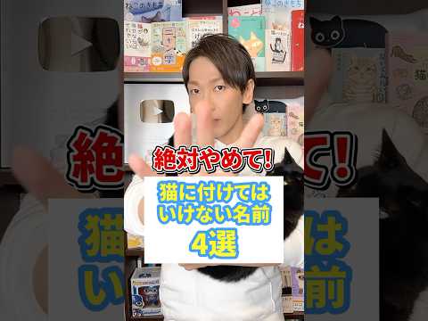 知っておくべき12の巨大な猫 - ブリティッシュショートヘア