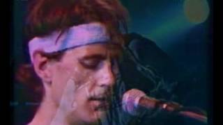 Van Der Graaf Generator - Octopus - 1972 Italy - live rare