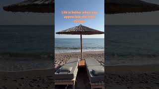 MWQ #85- Appreciate The Little Things In Life! #life #appreciation #littlethingsmatter