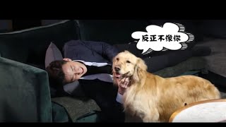 Download lagu 【SUB】Behind-the-scene: The cutest 'actor' and 'actress” 咖啡喵酱被迫营业 秃毛危机| My Lonely Planet 地球脸红了| iQIYI mp3 Download lagu 【SUB】Behind-the-scene: The cutest 'actor' and 'actress” 咖啡喵酱被迫营业 秃毛危机| My Lonely Planet 地球脸红了| iQIYI mp3