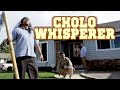 Cholo Whisperer - Funny Drop