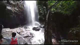 preview picture of video 'A Short Journey To Konni Adavi Ecotourism..'