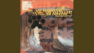 Spring - The Wildlife (Steve Bug Remix)