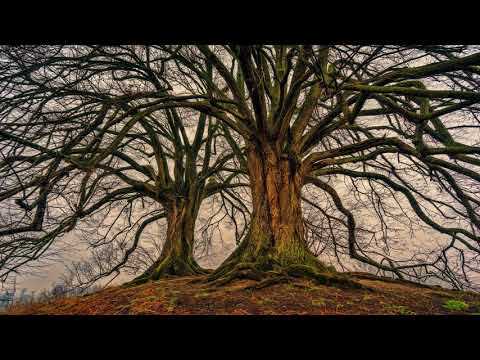 Andrelli - Yung Luv (ft. Hearts & Colors)