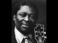 BB King- Don't Answer the Door