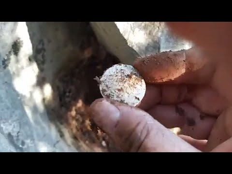 ilk Definemizi bulduk Sonunda Kaya Oymasından !!!