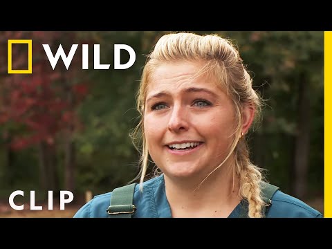 Mama Cow Gets a Check Up | The Incredible Dr. Pol