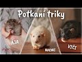 Potkaní Triky Naomi Alicia Viči