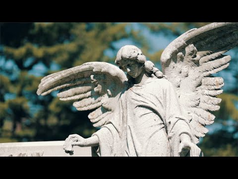 Bizzie Gambino - Letter To The Homies ( Official Video ) Shot By @NicoNelMedia