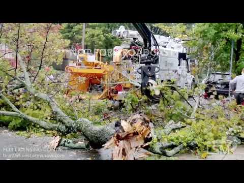 10-27-18 Boston, MA - Powerful Nor’easter - Large Tree Down & Work Crews