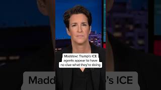 Maddow: Trump's ICE agents appear to have no clue what they're doing