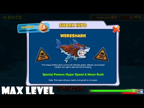 WereWorlf Shark info ! (Max Level 10) Full Gameplay - Hungry Shark Evolution