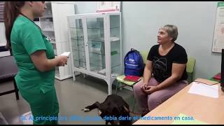 Opinión de un cliente: el caso de Ares