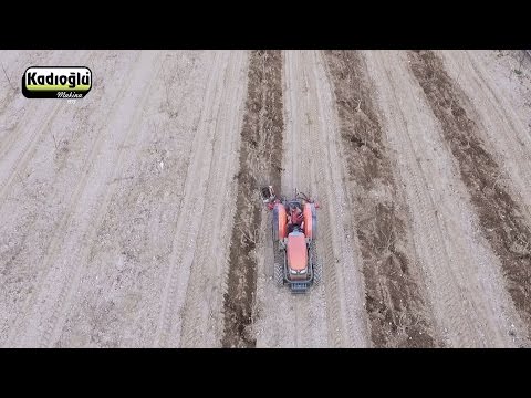 Kadıoğlu Duyargalı Çapa Havadan Çekim 🌳✈️