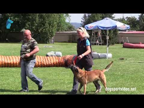 1. DMV Championat - Regina Schmuki-Flater - Kim von Sempach Station