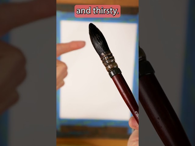 Vídeo relacionado con Raphael SoftAqua Synthetic, Watercolor Brush, Series 805, Quill, Size 3/0