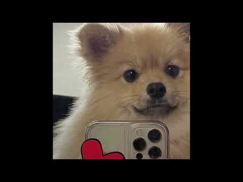 [FREE] tobi lou x smino x saba type beat " kid kit " - prod.shushuboi